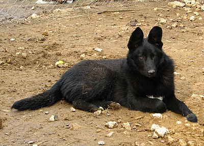 Варфоломей